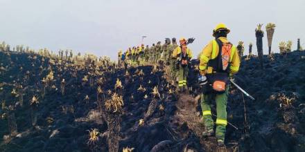 Bomberos controlan incendio en El Ángel con unas 800 hectáreas quemadas