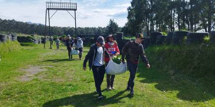 La Universidad Católica busca sembrar 1 millón de árboles en Ecuador