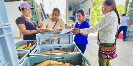 Productores de Napo venden sus productos a La Favorita