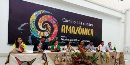 Ministros de 8 países dan los primeros pasos para lograr "gran acuerdo" de la Amazonía