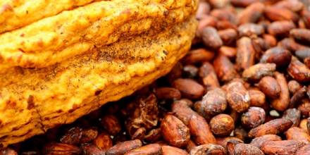 El cacao ecuatoriano rompió récord en exportaciones en 2021 gracias a pequeños productores