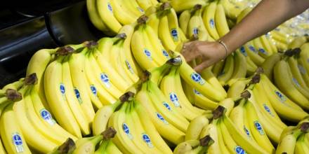 Las exportaciones de banano a Estados Unidos aumentaron