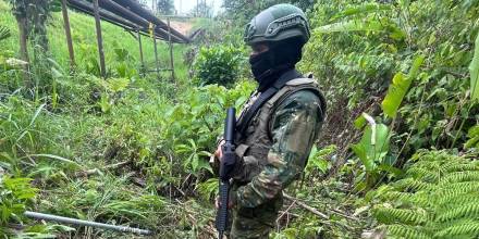 11 grupos terroristas operan en la frontera norte 