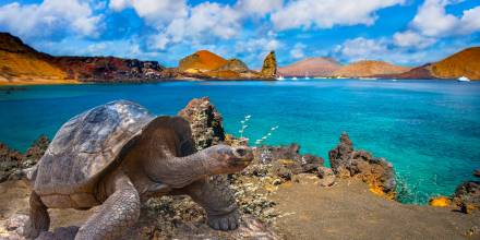 Animales de Galápagos