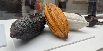 El cacao ecuatoriano se exhibe en Madrid