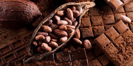 El cacao alcanza precio récord y supera los $9.600 por tonelada 