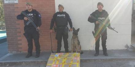 La Policía  halló 17 kilos de cocaína en encomiendas de correo