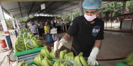 Temas sensibles en la cita Ecuador- Estados Unidos 