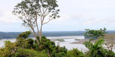 Día Mundial del Medio Ambiente: Ecuador enfrenta serias amenazas