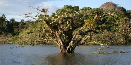 Complejo de humedales Cuyabeno-Lagartococha -Yasuní nuevo sitio Ramsar