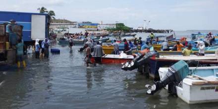 Eficiencia energética en la pesca artesanal