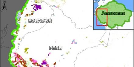 La agricultura es la principal causa de deforestación en la Amazonía 