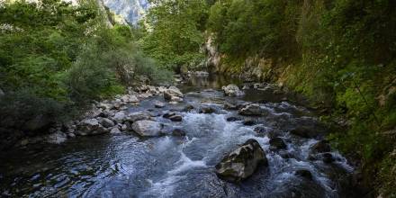 Los ríos se calientan y pierden oxígeno más rápido que los océanos