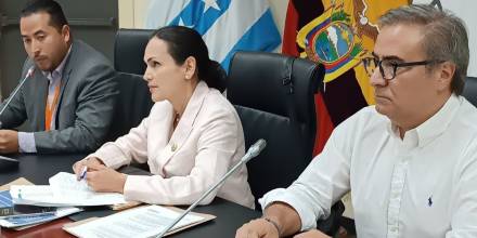 Inés Manzano será la cuarta ministra de Energía de Noboa 