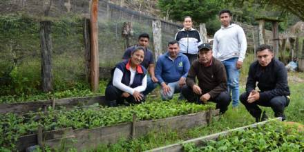 50 productores de café en Zamora reciben incentivos