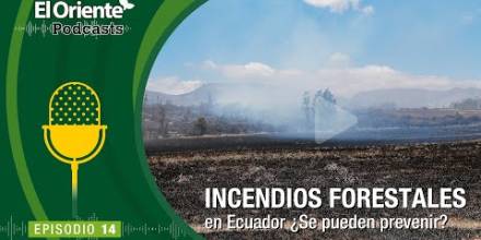 La Voz de la Amazonía: Incendios Forestales en Ecuador