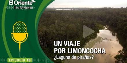 La Voz de la Amazonía: Un Viaje por Limoncocha ¿Laguna de pirañas?