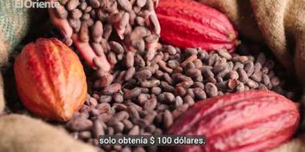 ¿Qué significa para Ecuador el precio récord del cacao? 