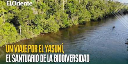 Yasuní: Un viaje a la Tierra Sagrada y su incomparable biodiversidad