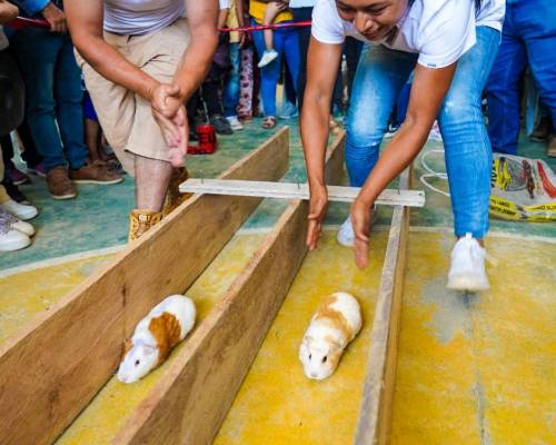 La IV Feria Provincial del Cuy se realizó en Chiviaza