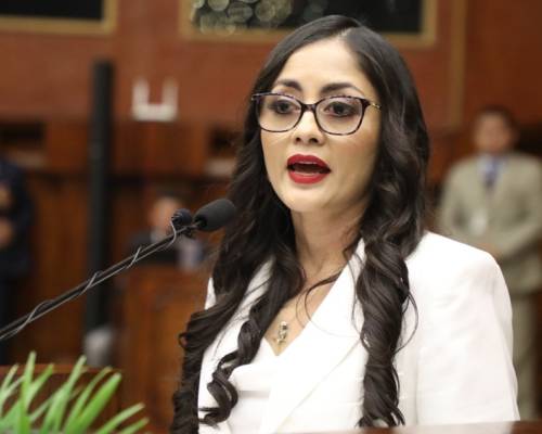 Viviana Veloz asumió la presidencia tras la renuncia de Henry Kronfle