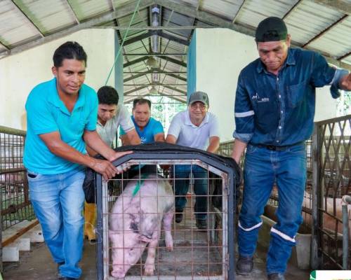 Sucumbíos: El proyecto Granjas Corpo Integradas continúa