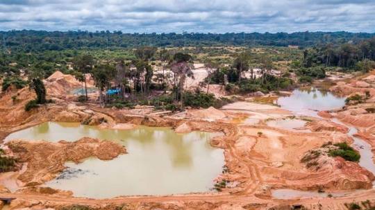 Las organizaciones llaman a implementar medidas para prevenir la minería ilegal