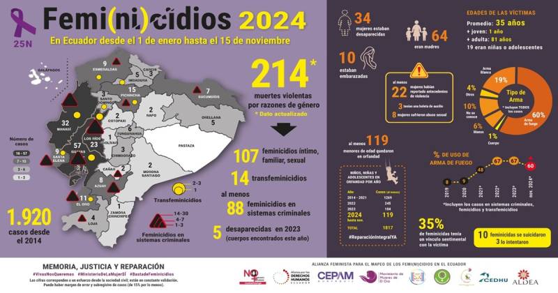 El país registró 215 feminicidios entre el 1 de enero y el 15 de noviembre de 2024 / Foto: cortesía Fundación Aldea