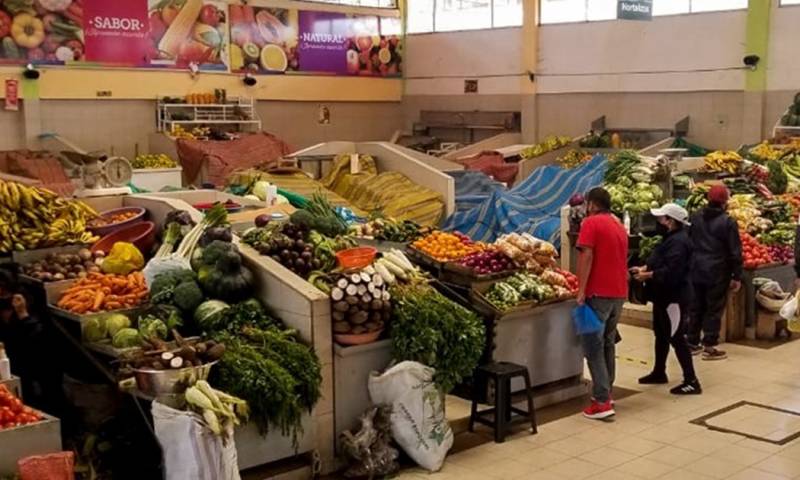 Estudio de la PUCE encontró plomo y cadmio en lechugas, tomates y zanahorias./ Foto: cortesía