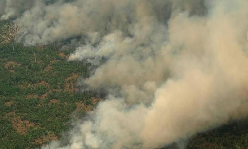 Un 17 % del área total de la Amazonía ya ha sido degradado por actividades humanas como la tala, los incendios y otros disturbio / Foto: cortesía 
