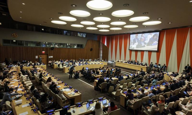 Tras años de debates y negociaciones, los países de la ONU adoptaron este lunes el primer tratado para la protección de la altamar/ Foto: cortesía EFE