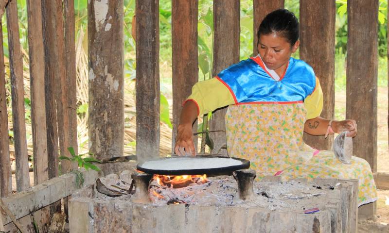 La mayoría de los alimentos en la Amazonía ecuatoriana tienen un alto contenido nutricional / Foto: El Oriente 