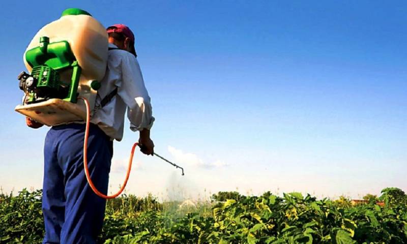 Durante los talleres también se compartió información sobre los equipos de protección personal adecuados a la hora de utilizar plaguicidas / Foto: cortesía 