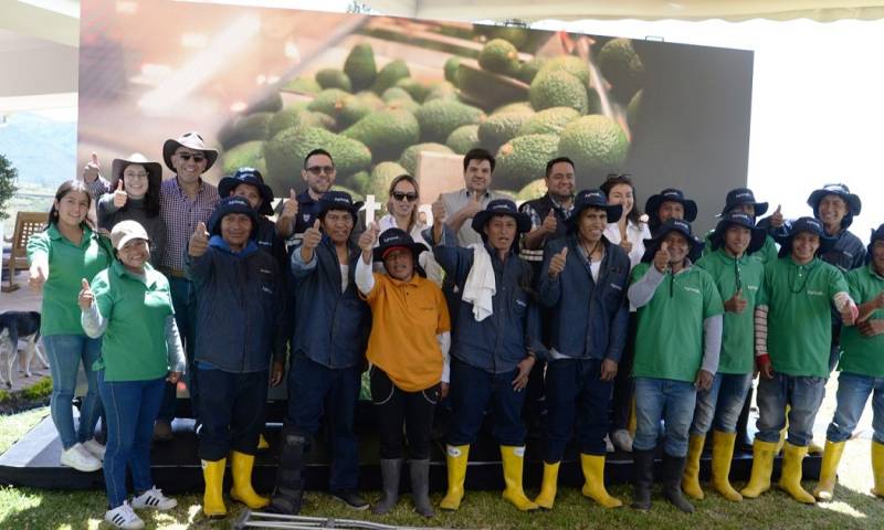 Esta apertura de mercado beneficiará a más de 11 mil personas / Foto: cortesía Agrocalidad 