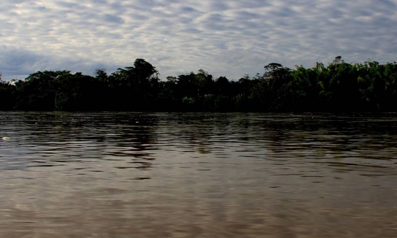 Esta tendencia refleja una disminución de almacenamiento de carbono en la Amazonía / Foto: El Oriente