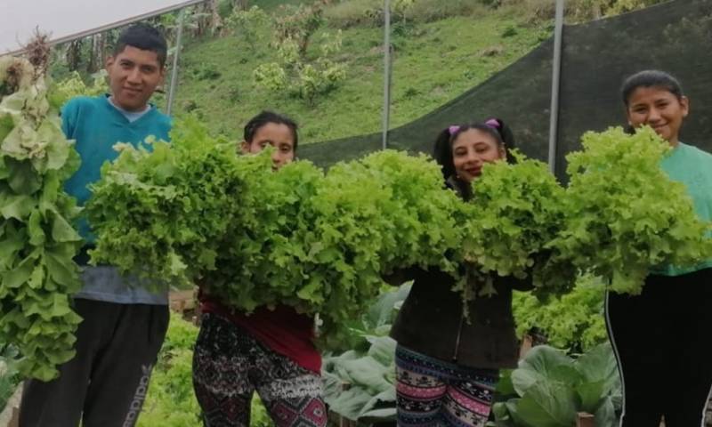 En la provincia de Zamora Chinchipe, el MIES atiende a 647 personas con discapacidad / Foto: cortesía MIES