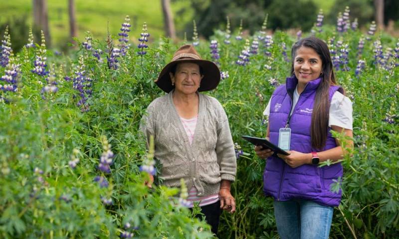 Ayer comenzó el levantamiento de información en campo / Foto: cortesía MAG