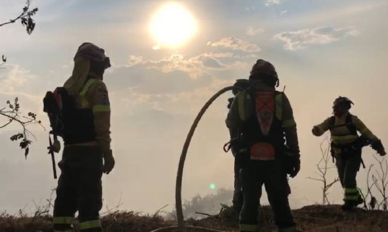 Principales noticias de Ecuador hoy - 31 de Agosto de 2023 / Foto: cortesía Bomberos Quito 