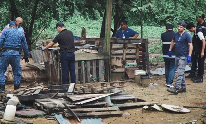 El operativo se llevó a cabo en el bosque protector Cerro Colorado / Foto: cortesía Municipio de Guayaquil 