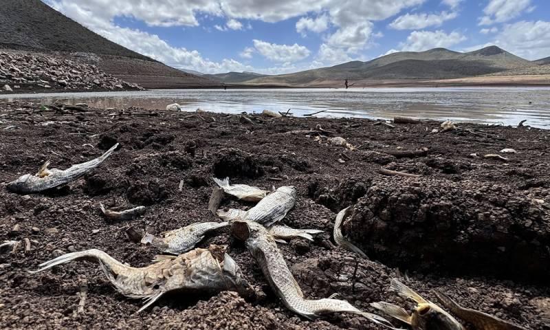 Latinoamérica enfrenta una crisis energética sin precedentes, marcada por apagones prolongados / Foto: EFE