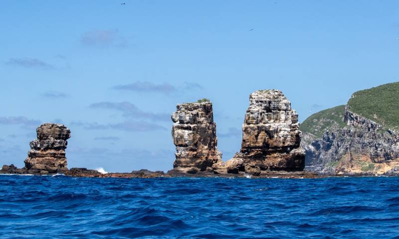 Desechos plásticos perjudica a especies endémicas de Galápagos