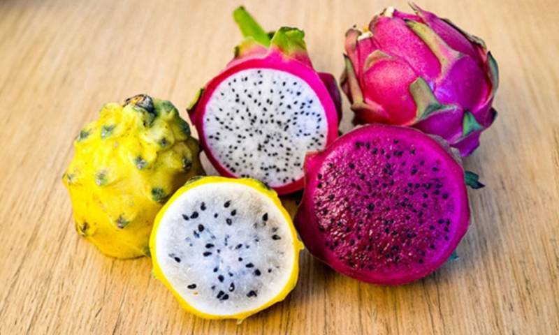 En 2023 la exportación de pitahaya fresca alcanzó un récord histórico para la industria agrícola ecuatoriana / Foto: cortesía Ministerio de Agricultura