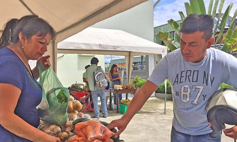 Se ofertaron hortalizas, verduras, frutas, derivados lácteos… / Foto: cortesía MAG