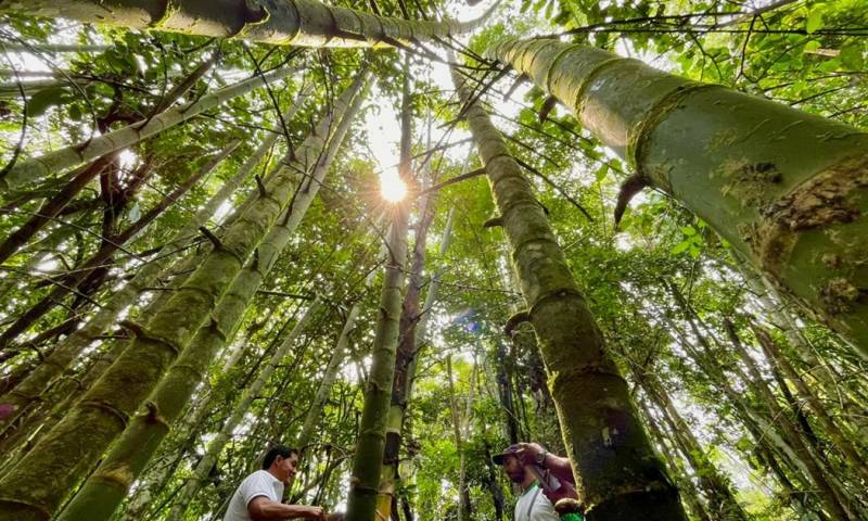 Principales noticias de Ecuador hoy -15 de agosto de 2024 / Foto: cortesía MAG