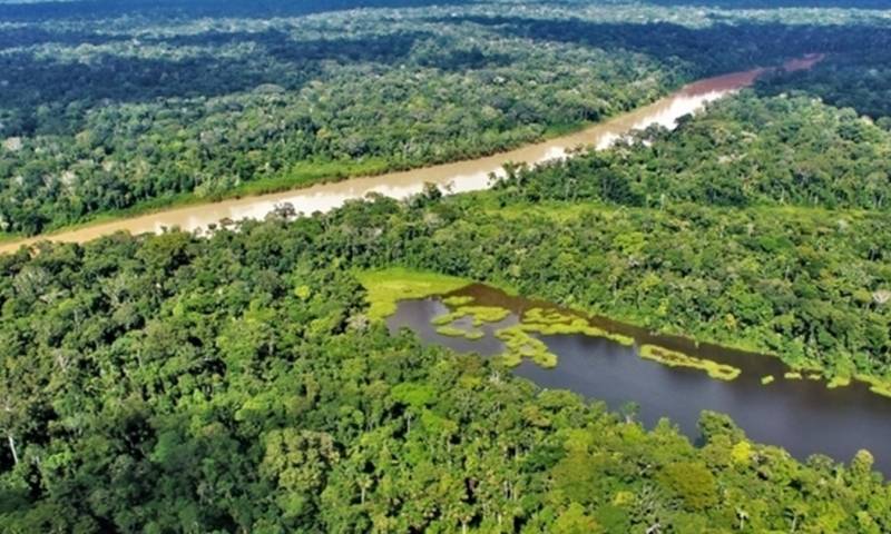 La conservación de los bosques es fundamental para el equilibrio ecológico y el bienestar de la humanidad, pues desempeñan un papel crucial en la regulación del clima, la preservación de la biodiversidad y la protección de los suelos fértiles./ Foto: cortesía