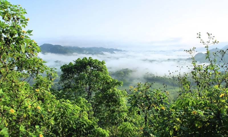 Los países de la Amazonía tienen 871 áreas de exploración de petróleo y gas en la mayor selva tropical del mundo/ Foto: cortesía