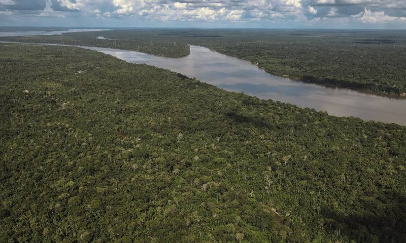 Brasil devastó en promedio a cada día del año pasado 56,4 kilómetros cuadrados de selvas, sabanas o flora campestre, área del tamaño de un país como Bermudas / Foto: EFE