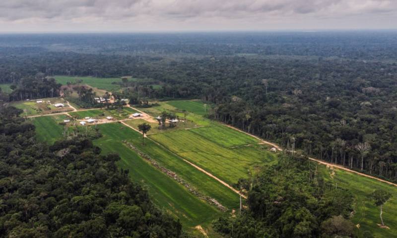 En ocho años, la deforestación se ha extendido a 8,660 hectáreas en cinco colonias / Foto: cortesía Instituto del Bien Común