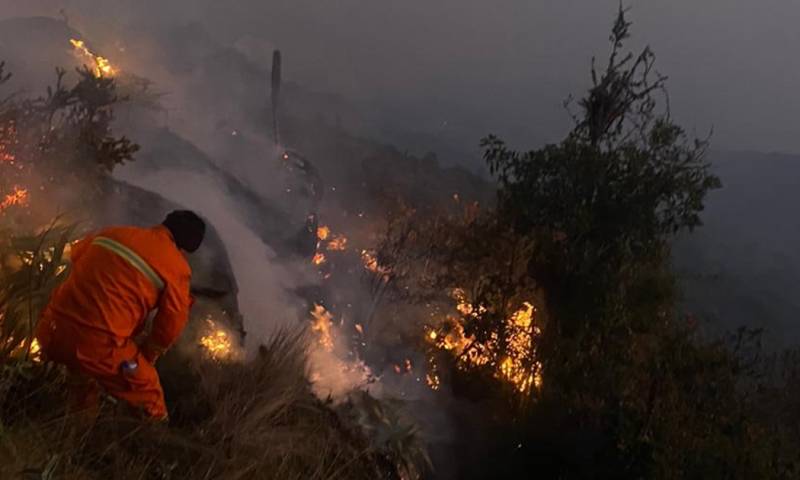 Las provincias más afectadas son Loja, Azuay, Zamora Chinchipe y Morona Santiago / Foto: cortesía FF.AA.