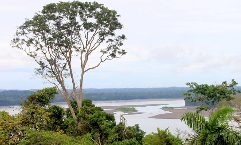 Tiene una extensión de 1.022.736 hectáreas, distribuidas en las provincias de Orellana y Pastaza/ Foto: El Oriente